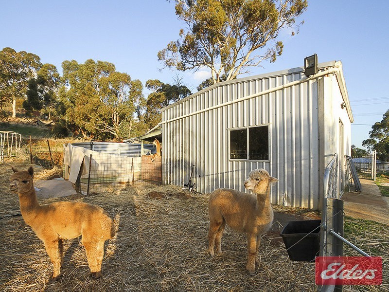33 Weir Road, Baskerville WA 6056