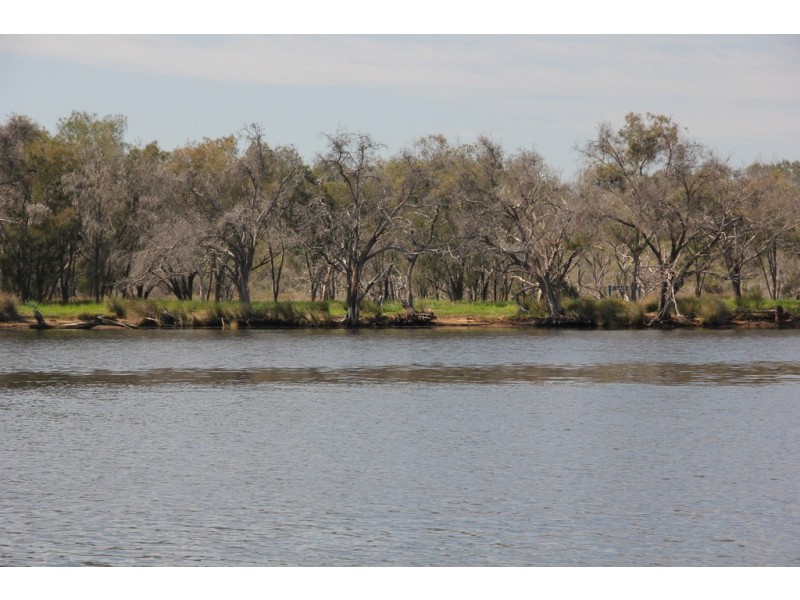 52A Moojebing Street, Bayswater WA 6053