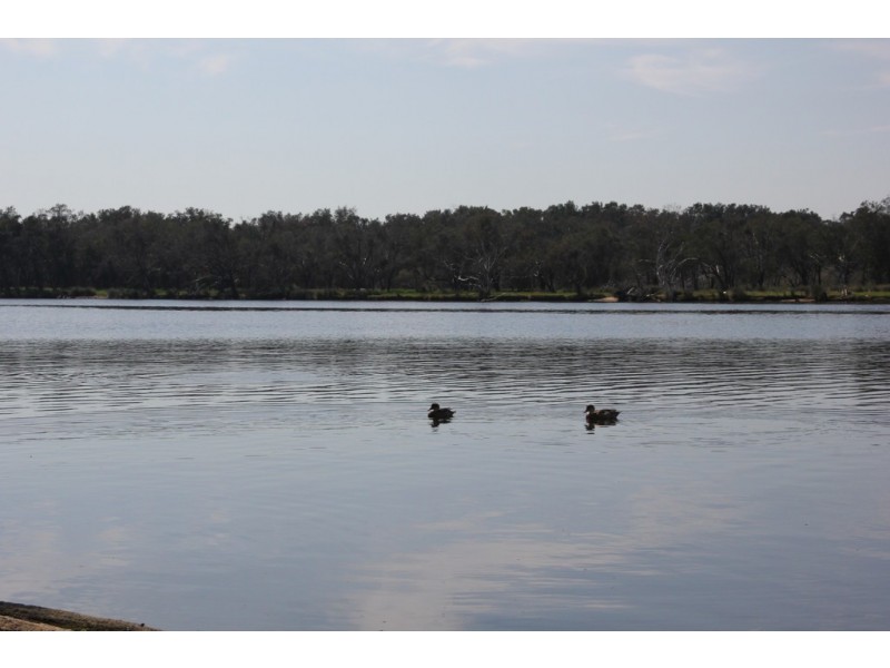 52A Moojebing Street, Bayswater WA 6053