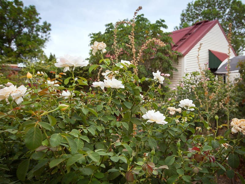 68 East Street, Guildford WA 6055