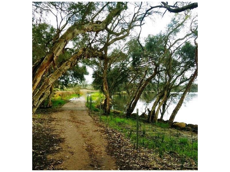 75 Hardy Road, Ashfield WA 6054