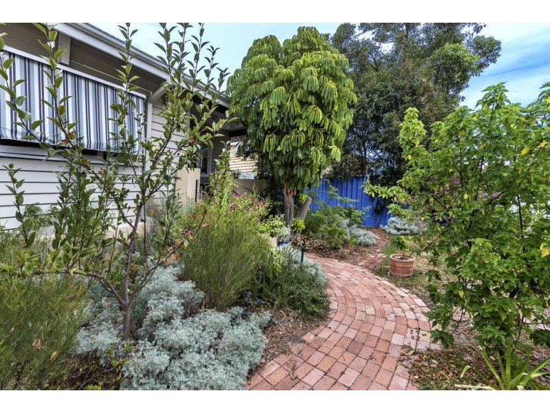 13 Wills Street, Bayswater WA 6053