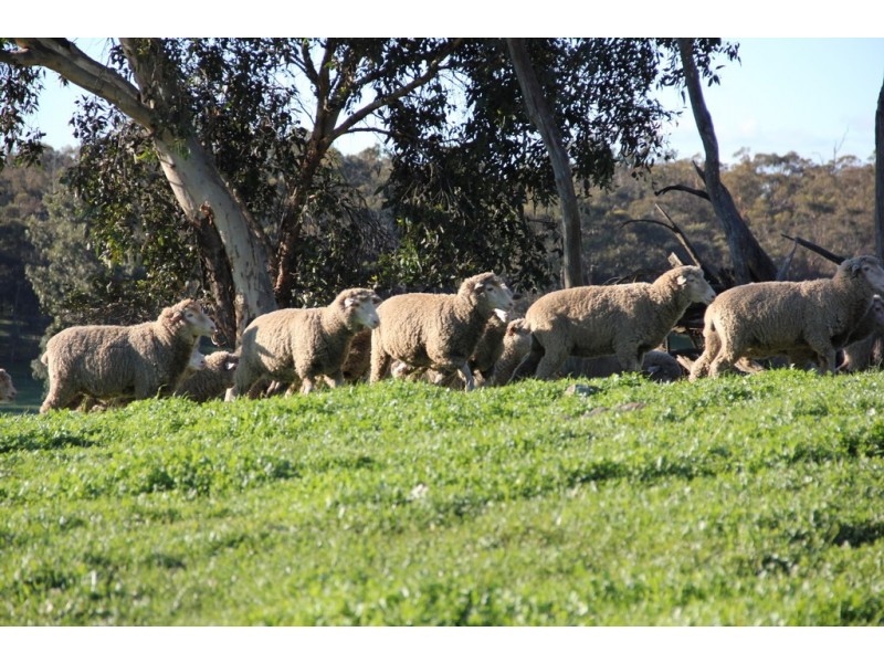 Lot 23 Chittering Road, Lower Chittering WA 6084