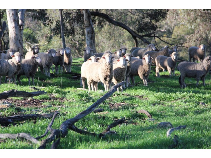 Lot 23 Chittering Road, Lower Chittering WA 6084