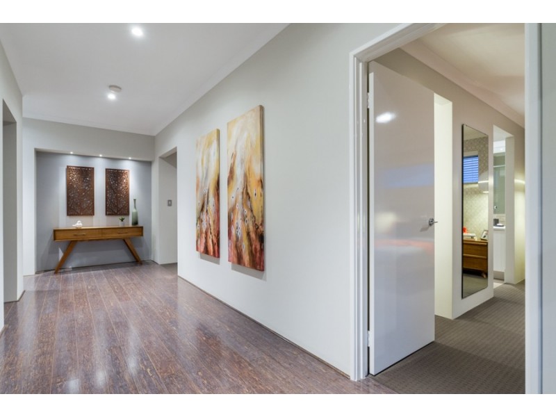 20 Bristlebird Circuit, Alkimos WA 6038