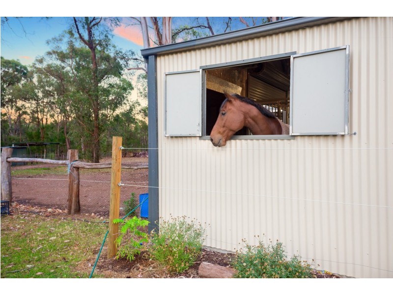 376 Greggs Road, Kurrajong NSW 2758