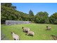 1857 Bells Line of Road, Kurrajong Heights NSW 2758