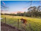 3 Bells Lane, Kurmond NSW 2757