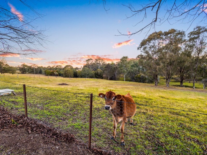 3 Bells Lane, Kurmond NSW 2757