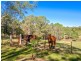 36 Vincents Road, Kurrajong NSW 2758