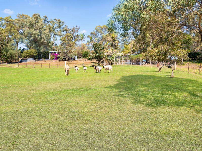 442 Grose Vale Road, Grose Vale NSW 2753