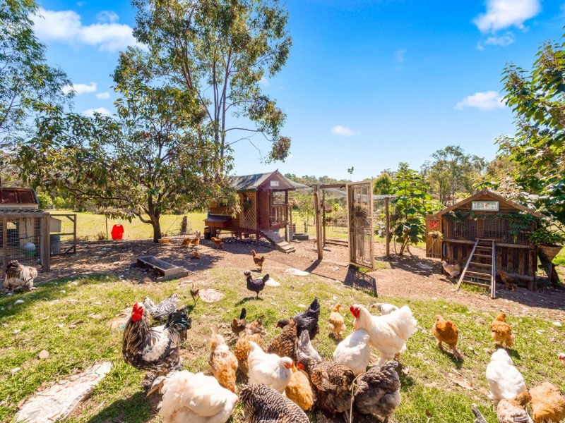 442 Grose Vale Road, Grose Vale NSW 2753