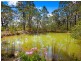 947 East Kurrajong Road, East Kurrajong NSW 2758