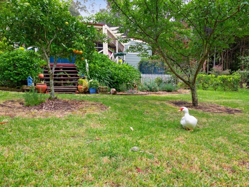 14 Johnsons Road, Bilpin NSW 2758