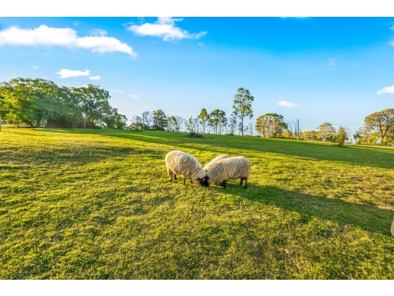 573 Grose Vale Road, Grose Vale NSW 2753