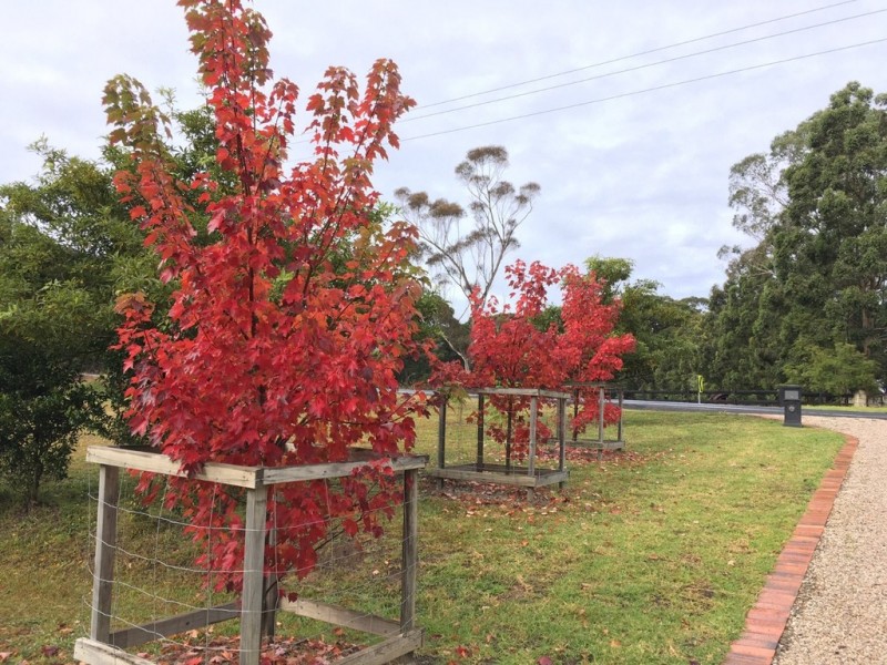 1500 Bells Line of Road, Kurrajong Heights NSW 2758