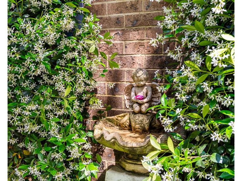 232 Comleroy Road, Kurrajong NSW 2758