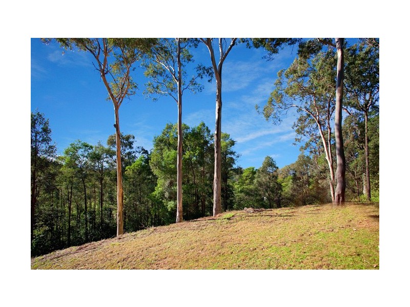 61 Serpentine Lane, Grose Vale NSW 2753