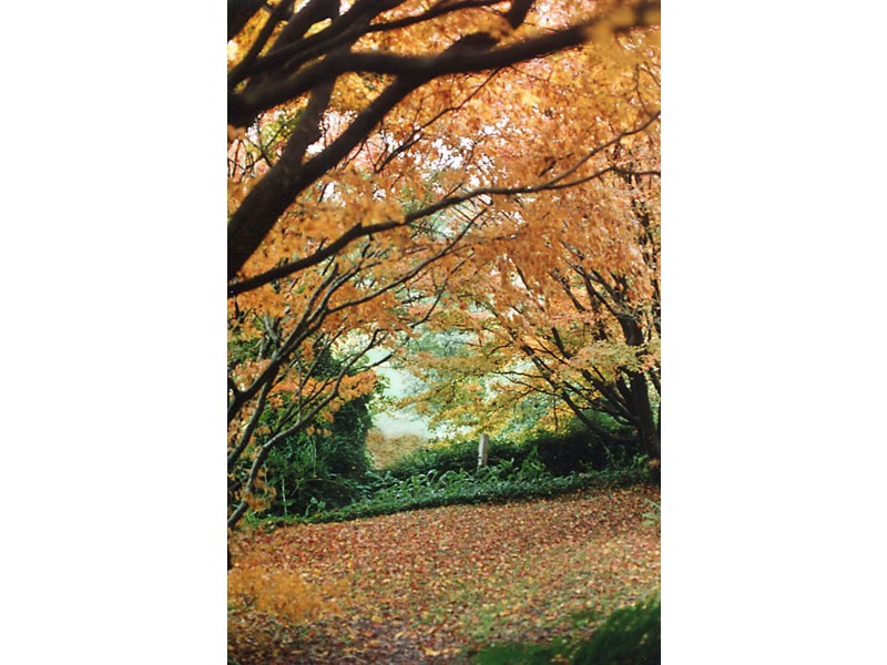 88 Warks Hill Road, Kurrajong Heights NSW 2758