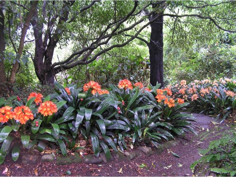 88 Warks Hill Road, Kurrajong Heights NSW 2758