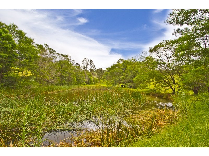 65 Vincent Road, Kurrajong NSW 2758