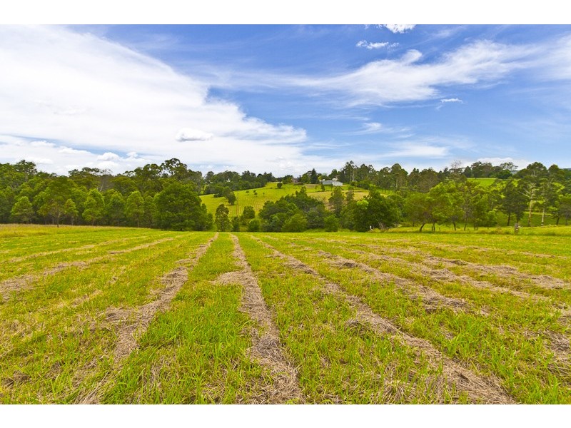 65 Vincent Road, Kurrajong NSW 2758