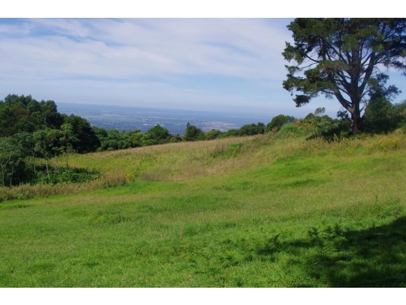 1384 Bells Line of Road, Kurrajong Heights NSW 2758