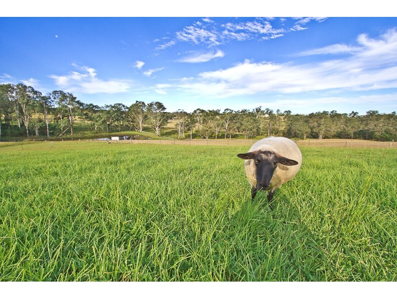 158 Slopes Road, North Richmond NSW 2754