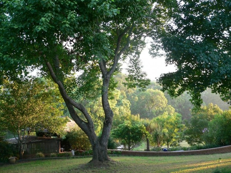 423 Slopes Road, The Slopes NSW 2754