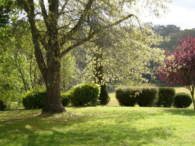 423 Slopes Road, The Slopes NSW 2754