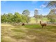 364 Spinks Road, Glossodia NSW 2756