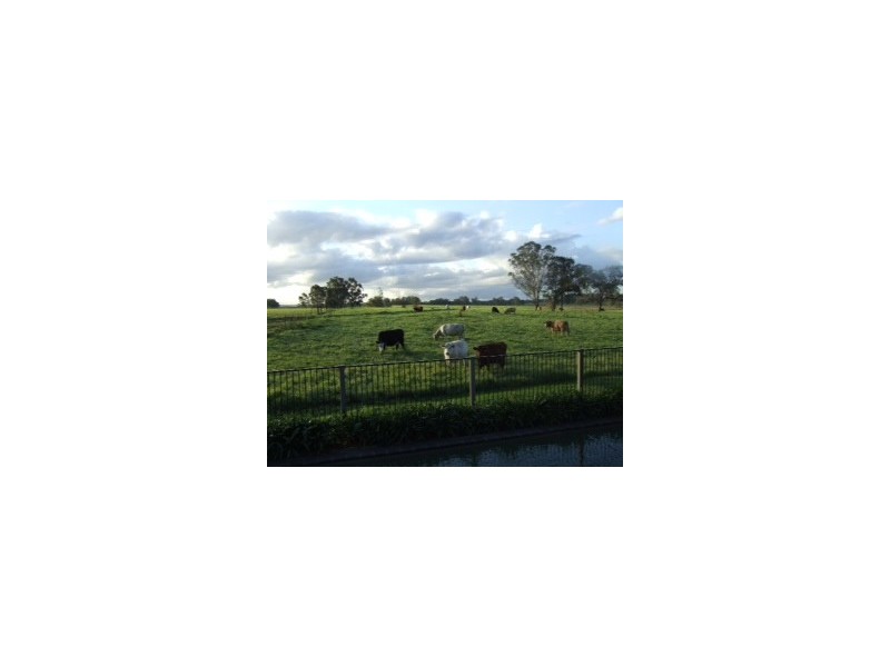 381 Terrace Road, North Richmond NSW 2754