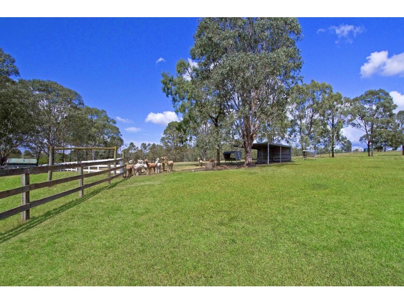 336 Spinks Road, Glossodia NSW 2756