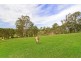 85 East Kurrajong Road, East Kurrajong NSW 2758
