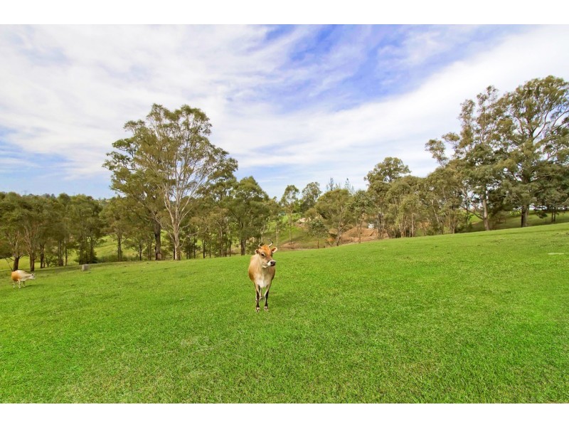 85 East Kurrajong Road, East Kurrajong NSW 2758