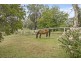 661 Comleroy Road, Kurrajong NSW 2758