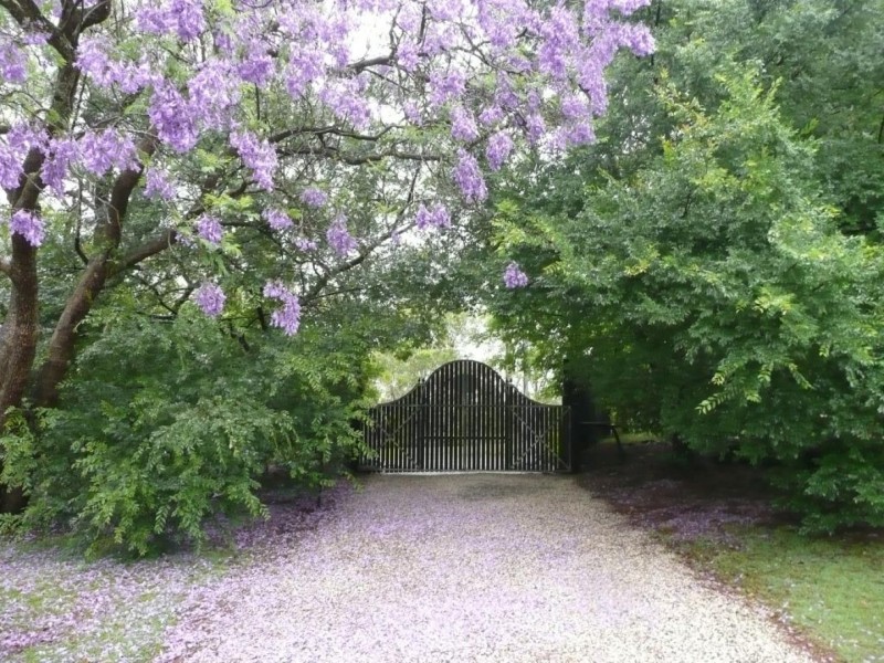 79 Comleroy Road, Kurrajong NSW 2758