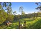 Kurrajong Hills NSW 2758