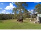75 Single Ridge Road, Kurrajong NSW 2758