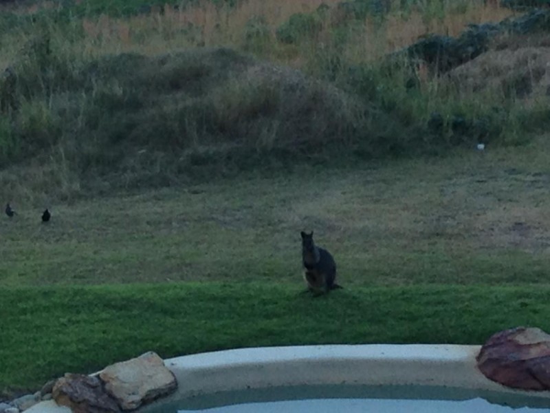 Kurrajong Heights NSW 2758