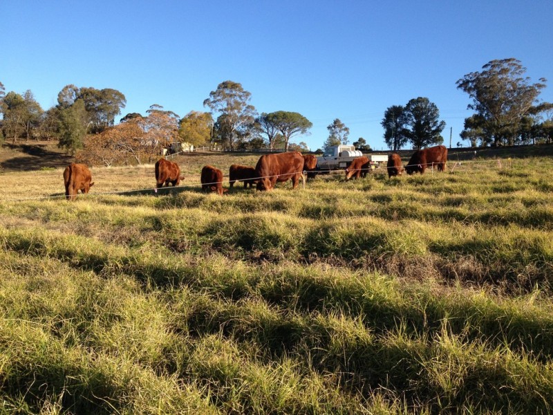 750 Grose Vale Road, Grose Vale NSW 2753