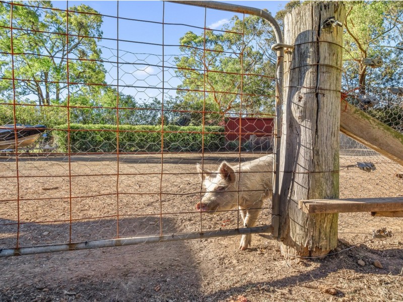 43 Kentoleen Road, Kurrajong NSW 2758