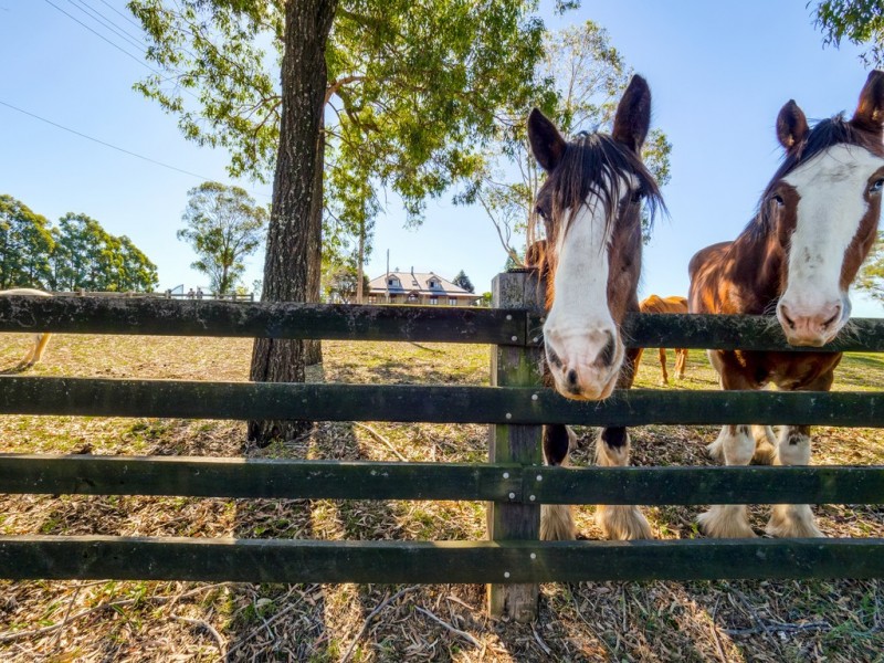 253 Blaxlands Ridge Road, Kurrajong NSW 2758