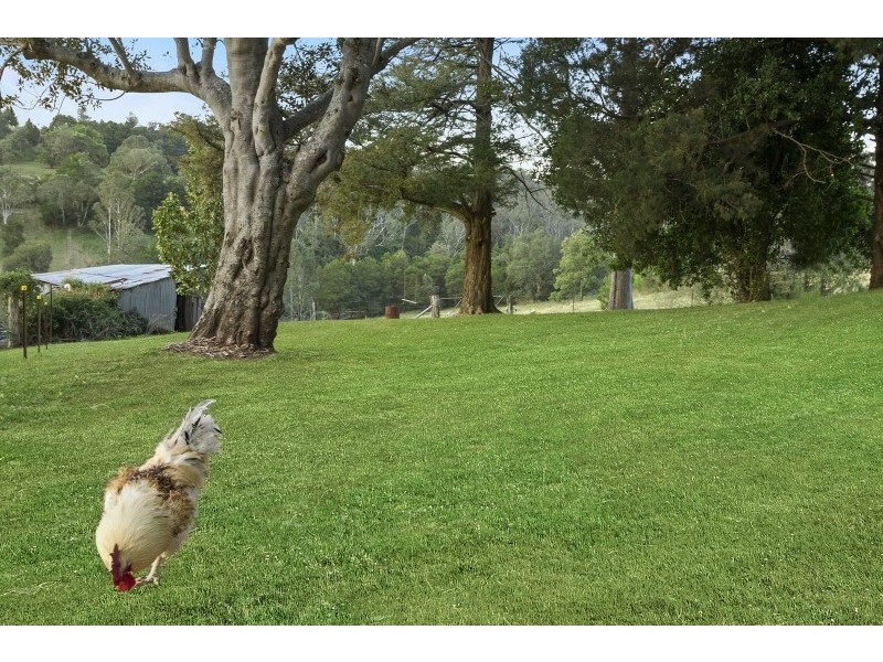 856 Bells Line of Road, Kurrajong Hills NSW 2758