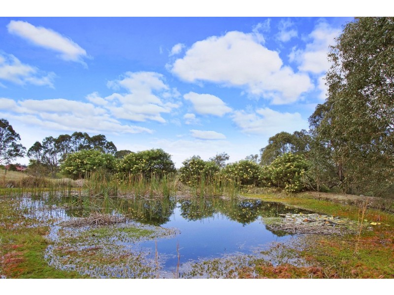 82 Diamond Hill Drive, Kurrajong NSW 2758