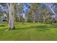 Lot 5, 7 and 8 Freeman Road, Agnes Banks NSW 2753