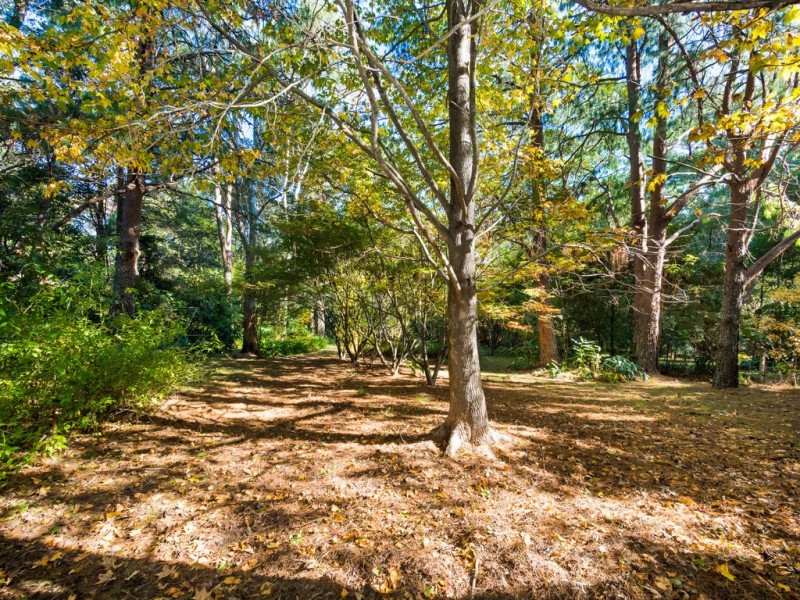 115 Warks Hill Road, Kurrajong Heights NSW 2758