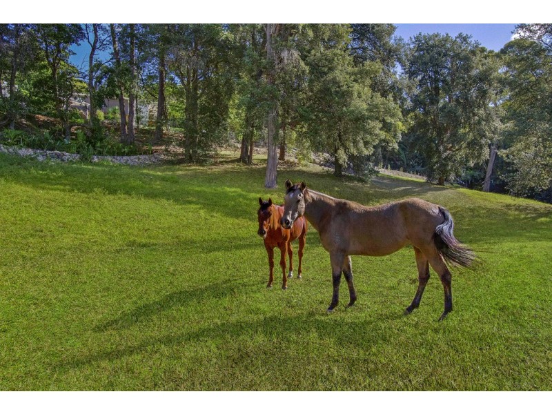 1302 Bells Line of Road, Kurrajong Heights NSW 2758