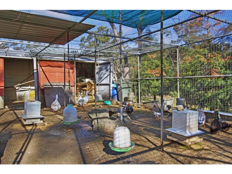 3499 Bells Line of Road, Berambing NSW 2758