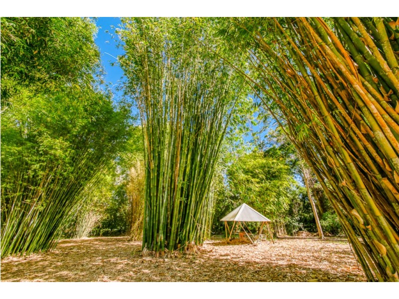 8-26 Annona Court, Palmwoods QLD 4555